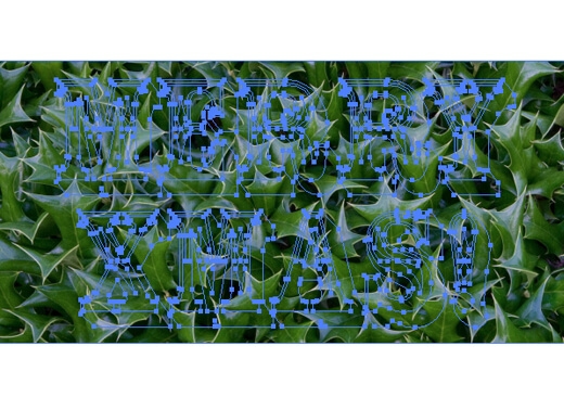 no stroke, no fill appearance