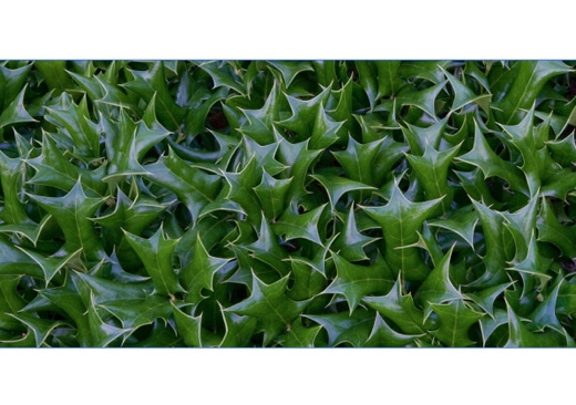 Find a photograph you’d like to work with